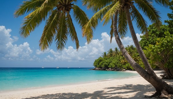 Exploration des trésors naturels des antilles dévoilés